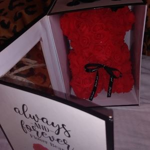 11 inch bear made Fromm all roses